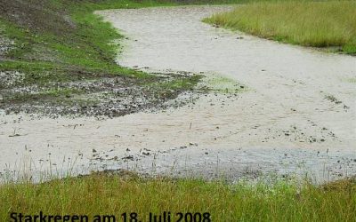 Stark­re­gen­schutz am Malerviertel