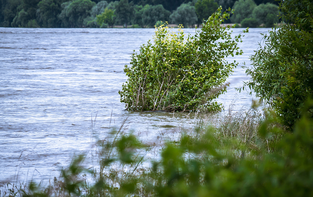 Hoch­was­ser-Risi­ko-Vor­sor­ge in Sachsen-Anhalt