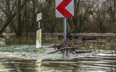 Zwei­te Hoch­was­ser­wel­le am Scheitelpunkt